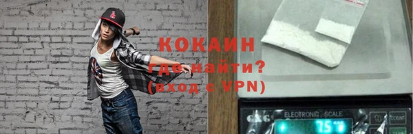 амф Горняк