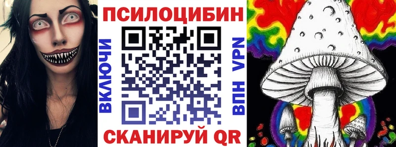 площадка телеграм  Петров Вал  Псилоцибиновые грибы Psilocybe 